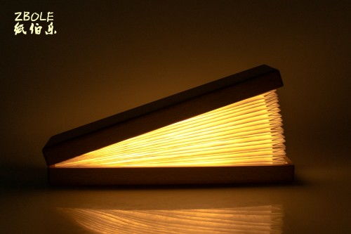 紙伯樂(lè)節(jié)慶用品訪談回顧,特殊外觀設(shè)計(jì)展現(xiàn)燈具別樣魅力